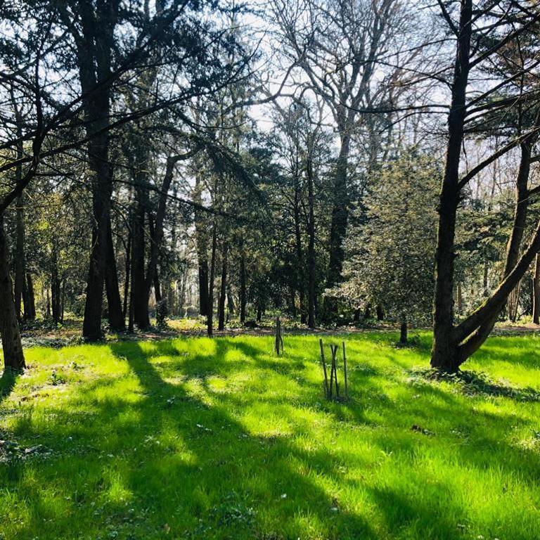 Chambre Duo Sainte-Gemme-la-Plaine Εξωτερικό φωτογραφία